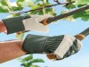 Thorn & Puncture Resistant Premium Gardening Gloves Medium