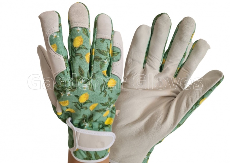 Amazon Briars Ladies Gardening Gloves Sicilian Lemon Briers